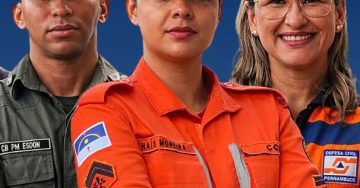 Segurança sem trégua: força-tarefa implacável erradica mais de 44 mil pés de maconha no Sertão de Pernambuco