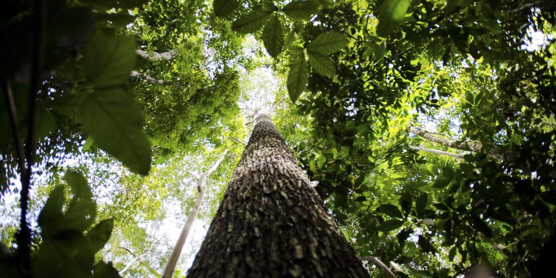 Pernambuco em Alerta Vermelho: Rios Atingem Cota Crítica e Exigem Máxima Atenção da População